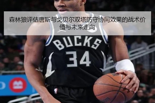 森林狼评估唐斯与戈贝尔双塔防守协同效果的战术价值与未来走向