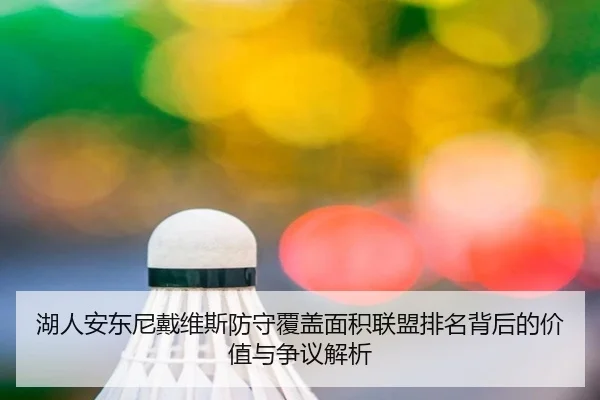 湖人安东尼戴维斯防守覆盖面积联盟排名背后的价值与争议解析