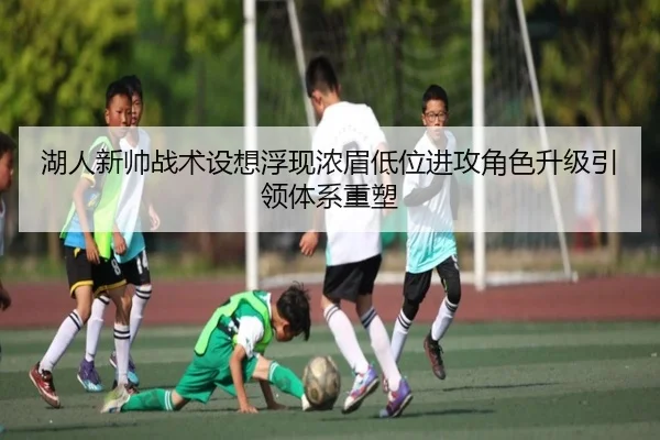 img_1782747557146_1622_1_442.jpg