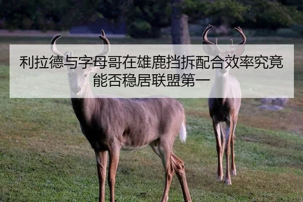 利拉德与字母哥在雄鹿挡拆配合效率究竟能否稳居联盟第一