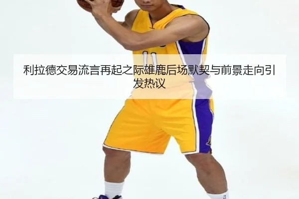 利拉德交易流言再起之际雄鹿后场默契与前景走向引发热议
